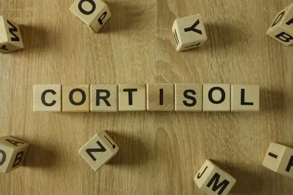 The Hidden Connection: How Stress Shapes Your Fitness and Body Composition 2 Image saying "Cortisol" and how stress West Malling impacts your wellbeing and bodies shape